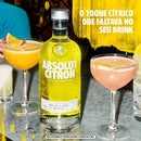 Vodka Absolut Citron 750 ml